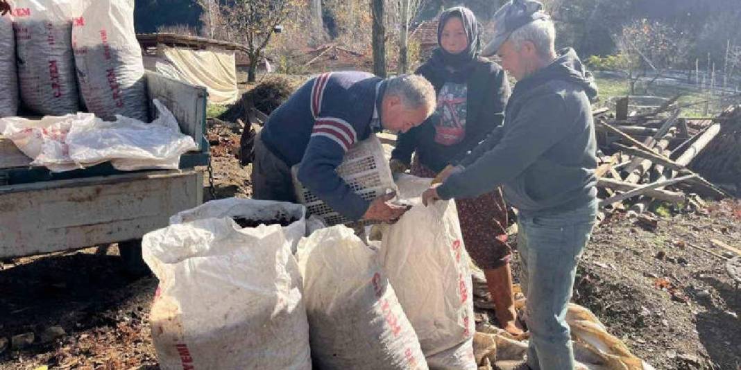 1 ay dinlendi dikenlerinden arındırıldı! Sofra yolculuğu başladı: Alıcılar akın ediyor, ‘Herkes tadına bakmalı’ deniyor 2